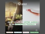 APEF 03200